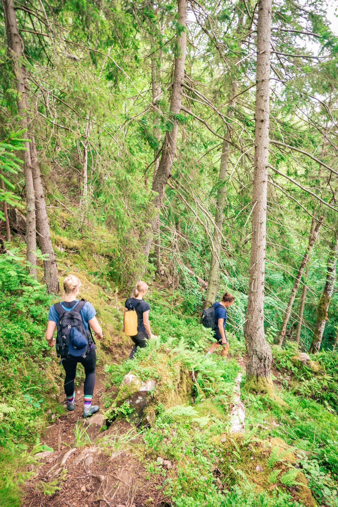 Denna bild har ett alt-attribut som är tomt. Dess filnamn är vastanaleden-22-1160x1740.jpg